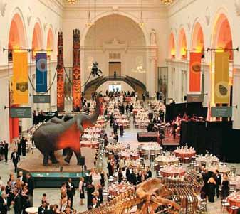 And each one provides a remarkable setting for special events of any size. Imagine drinks amongst dinosaurs or an award ceremony in the aquarium.