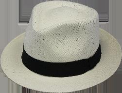 brim and grosgrain band with