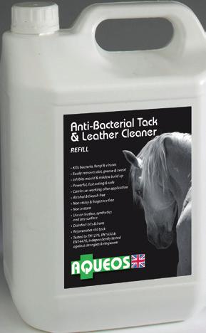 Anti-Bacterial Horse Shampoo Kills