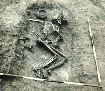 Empingham Above: A male Anglo-Saxon skeleton with a spearhead, to the right, and a pot, to the left, of the skull (Shirley Palmer) Shirley Palmer describes the first dig at Empingham as a small