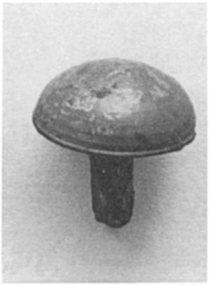 Saucer, Trench 8