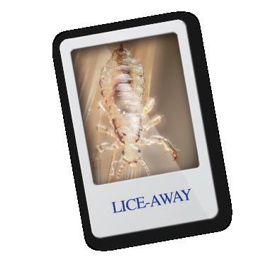 LiceAway Kit The KIT also contains two essential and innovative tools for a