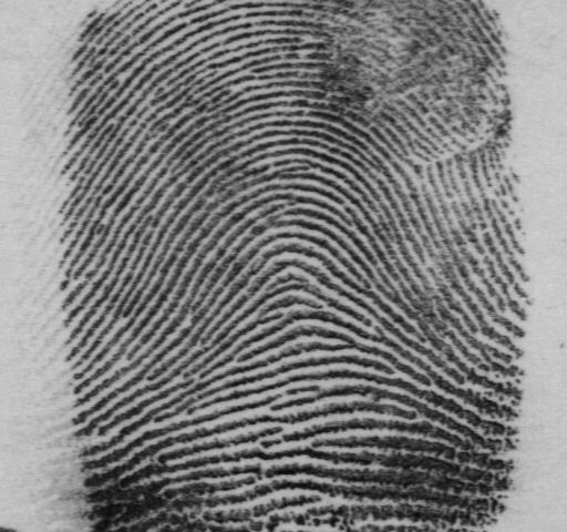 Fingerprint Matching Rolled-to-Rolled matching