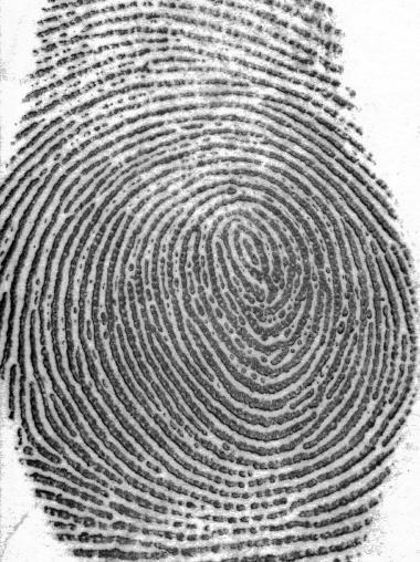 Fingerprint Features