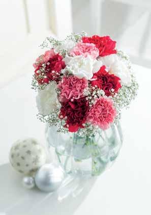 Christmas Mixed Carnations As Carnations are a best selling bouquet we thought it was only right to create a gorgeous Christmas arrangement