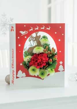 FloralCard Order early for Christmas Special offer 10% OFF * FloralCard QUOTE CARD10 NEW Festive FloralCard Our Festive FloralCard makes for the perfect Christmas gift.