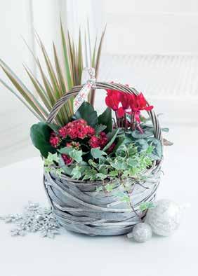99 Code FX03801P Treat a loved one with this stunning rose bowl NEW Christmas Mixed Woven Basket A beautiful variety of plants are carefully presented in this