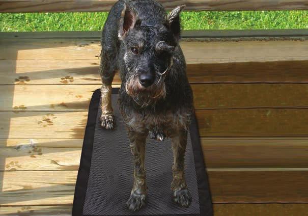 the Shedrow K9 Mud Mat is for you! It magically soaks up water, mud and dirt!