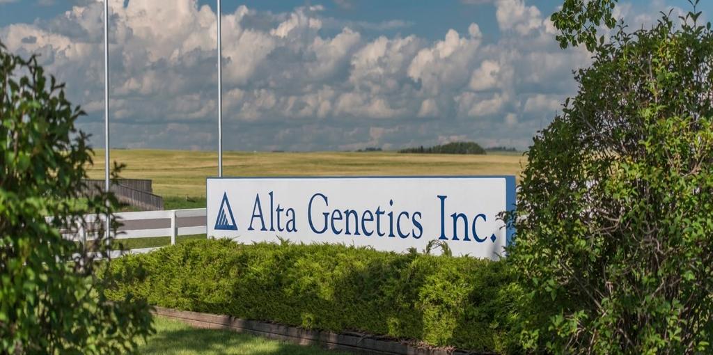 Alta Custom Collection Serving the beef industry for 50 years For 50 years, customers have chosen to work with the Alta Genetics Custom Collection program.