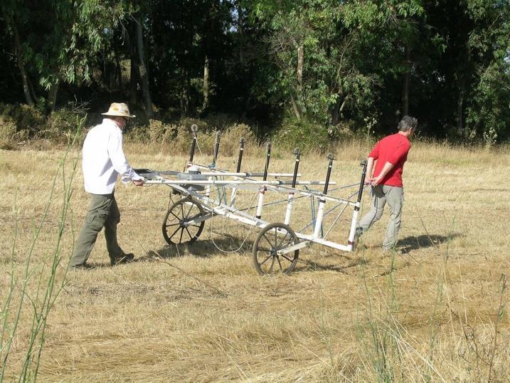 Microtopographical and Geophysical Survey In preparation for the intensive survey, several preliminary studies were conducted in order to provide a better understanding of the topography of the site