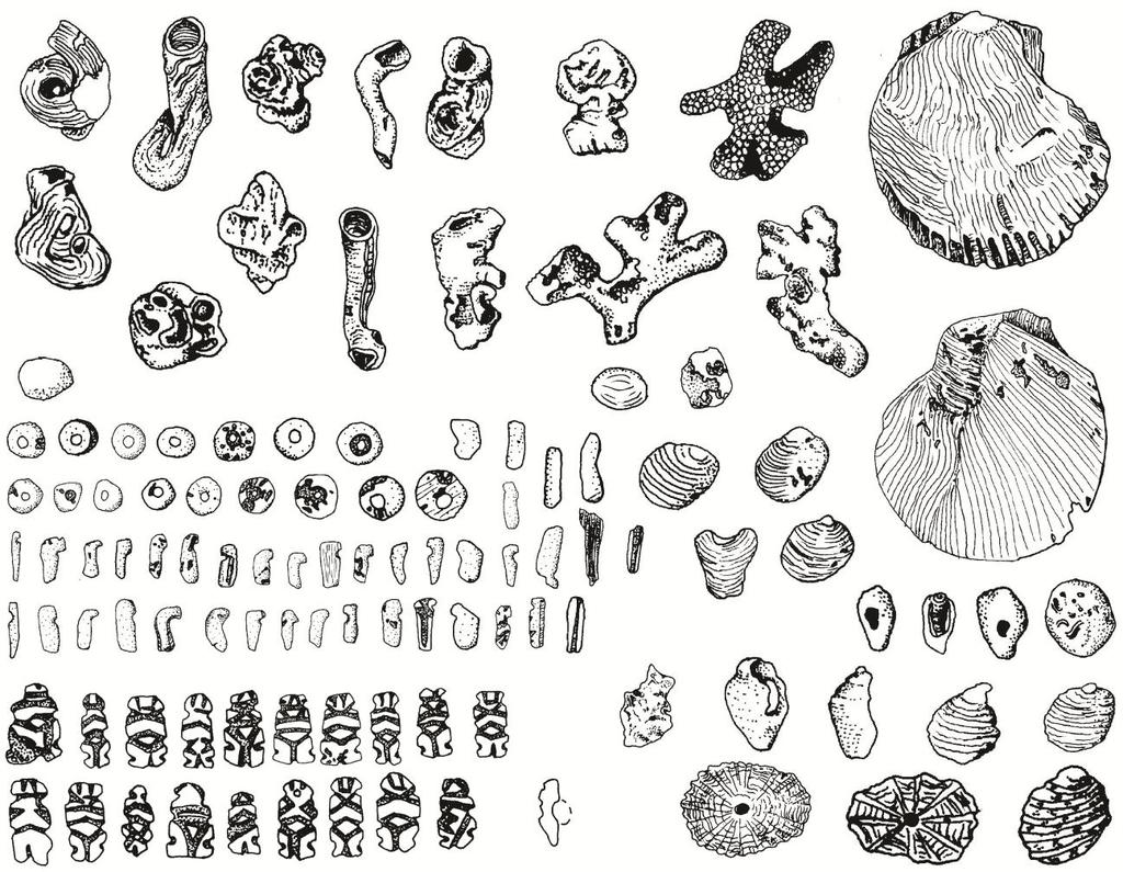 Illustration by the author Figure 54: Contents of S.D. C70B-1 in Structure A8 including 19 Charlie Chaplin figures, shell, coral, seasnails, beads and "hooks" (bottom left figure measures roughly 2cm.