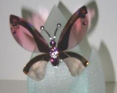 Introduced 2007 Eva Maria Ried  Butterfly Azua, padparadscha