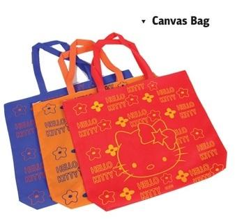Lets start it by carrying the recycled canvas bags