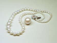 Among pearls gathered, those with interesting shapes such as Wing and Rose bud and exceptional colours are preferred.