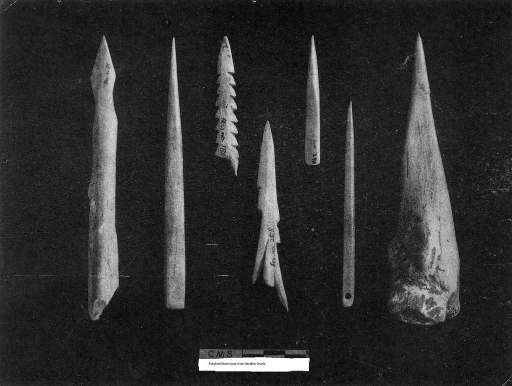 The main types are harpoons for fishing, needles with or without eyes and awls used probably for stitching skins, spear points, arrow-heads and daggers for hunting