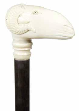 1900-A carved ivory tiger done in high relief, small glass eye, silver metal collar, ebony shaft and a horn
