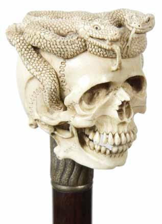 156. Bone Skeleton Ca.