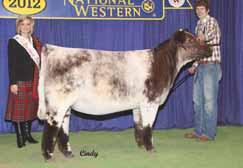 If success drives you in the cattle business take an extra look here, I feel this could be a knockout heifer out of a super cow with tons of future.