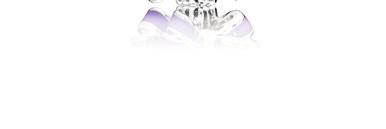 797260NLC Celebration Bouquet, lilac and pink crystal, purple enamel UVP 49