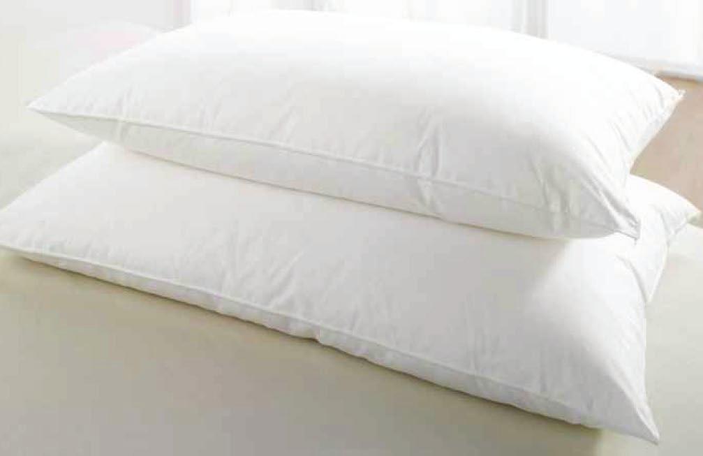 EDDING C - Pillow Slip: T200 60% Cotton 40% Polyester PIL006 Pillow Slip Standard 42 x 36 S White - Poly Fill Pillows - Softer Fill PIL001 PIL002 100% Polyester Cluster Fibre Pillow 100% Polyester
