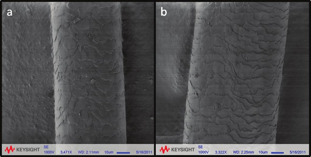 04 Keysight Using a Compact Low Voltage FE-SEM in Evaluating Materials - Application Note Figure 2. (a) Typical brown hair (B9; D = 53.9 µm) and (b) typical grey hair (G2; D = 74.7 µm).