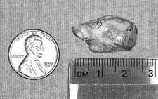 appears to be from the top of an old-fashioned glass ball fishnet float. No other piece of glass from the float was found.