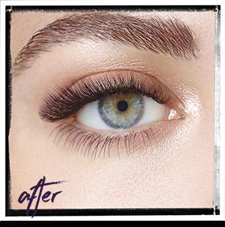 00 Dubbed the lash in a flash, Express extensions are applied in an express technique taking just