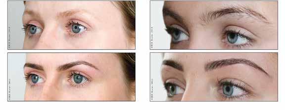 HAY LEY S BEAUTY BOUTIQUE HIGH DEFINITION BROWS HD