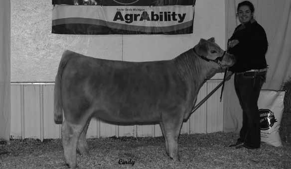 heifer. She is sired by Traush Farm s Smokin Bob. She offers a complete outcross package with style, bone and mass. Consignor: Walnut Springs 819 TDF Tulip 530 Reg.