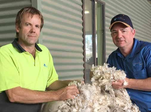 Wool Buying Division Expands The team at AWN would like to welcome Andrew Partridge as our new Wool Trading Manager.