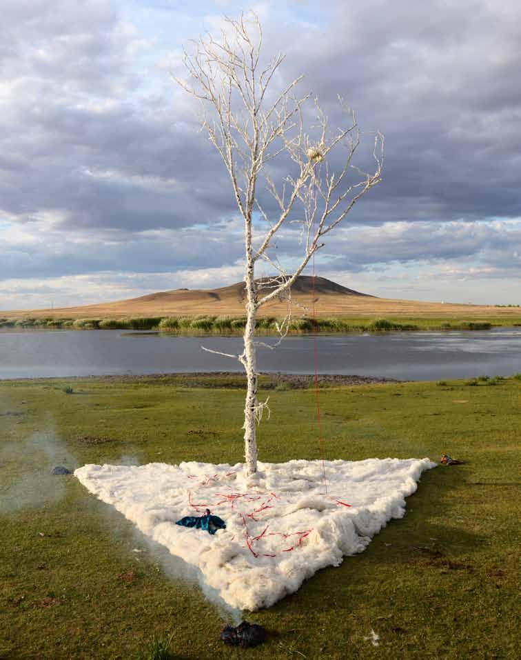 LAM 360 LAND ART MONGOLIA 4TH BIENNIAL Catching the Axis, Between the Sky and the Earth Enkhjargal Ganbat 54 ---------- 55 MONGOLIA Dorom Installation Fallen tree, sheep wool, sugar, stone and silk