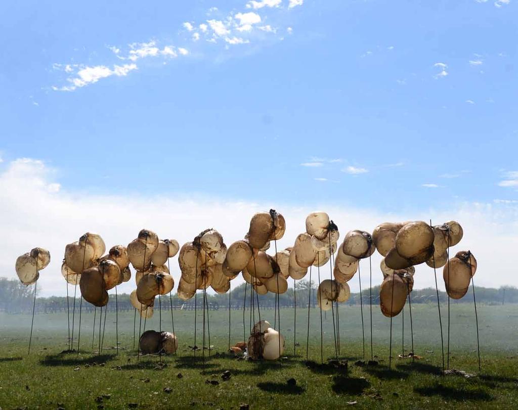 LAM 360 LAND ART MONGOLIA 4TH BIENNIAL Catching the Axis, Between the Sky and the Earth Orchirbold Ayurzana 82 ---------- 83 MONGOLIA Puffball Mushroom Environmental installations Iron and organic