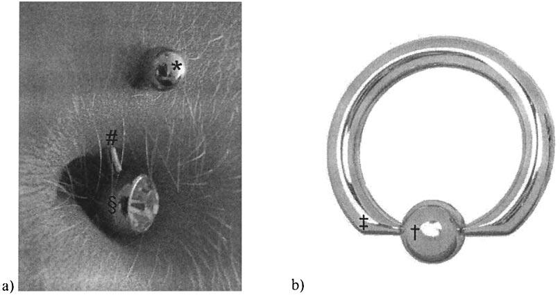 Fig 1. (a) shows a close-up view of a common type of navel piercing jewelry. The ornament ( ) is permanently fixed to a curved metal bar (#).