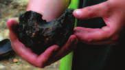 bog-ore) in the peat itself. All it needs is finding and collecting. WHAT IS CHARCOAL?