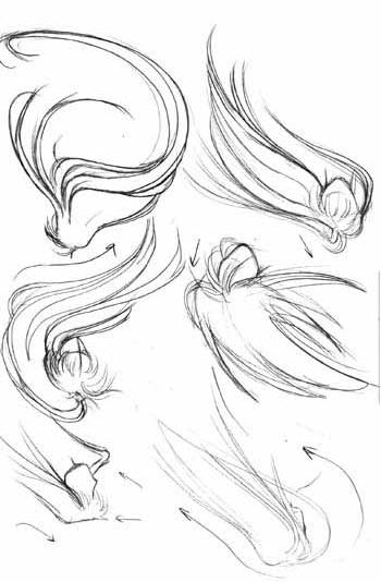 I also wanted to briefly go over ponytails, and how they can be drawn. You can make them simplistic, highly detailed, or sketchy, depending on your style.