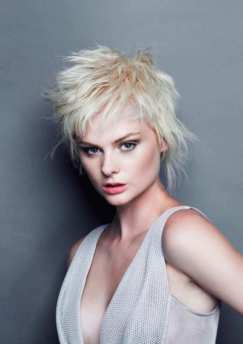 1 DAY THEORY DEMO $295 SPECIALIST EXPERT NEW #INSPIRATIONS CUT, COLOUR & STYLE This seminar has been designed to offer you new ideas for women s cuts and styling, with current interpretations of what