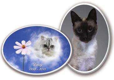 included. Stock Siamese #6 62-6 #10 Oval - 62-10 9.75 x 7.