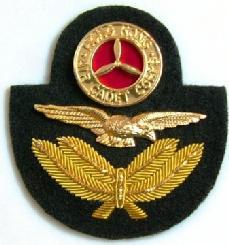 BE-201 Badge, Cap device
