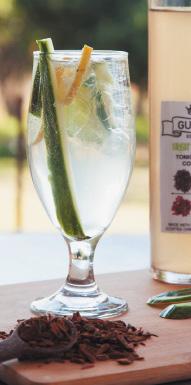 Photo credit: Food & Home Entertaining (sort of) GUDGU GIN/VODKA AND SUGARFREE TONIC You will need: Ice Your favourite glass 2 tots of GUDGU sugarfree Tonic Water Cordial Soda water or sparkling