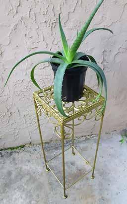 Plant Stands Ornate Plant Stand
