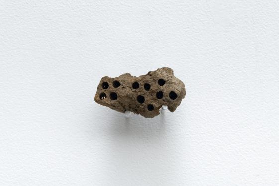 Habitation / 2018, potter wasp nest, nails / A potter wasp nest, found in the artist s childhood room, is exhibited.