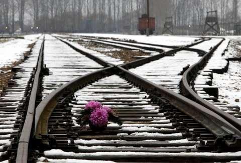 Excerpt 2: From Auschwitz Shifts From Memorializing to Teaching a 2011 article by Michael Kimmelman Flowers for victims of Auschwitz, left in January during ceremonies marking the 66th anniversary of