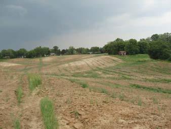 Looking south at the location of the site AgHb-436