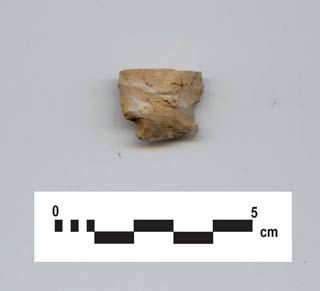Page 37 Plate 15: Projectile point fragment (Cat.#L1) from AgHb-437 (P42) Table 46: Artifact Catalogue for AgHb-437 Cat.
