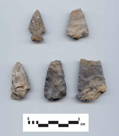 Page 66 AgHb-461 P117 Site AgHb-461 was encountered on a relatively flat ploughed surface. The lithic scatter extended approximately 72 m northsouth and 33 m east-west.