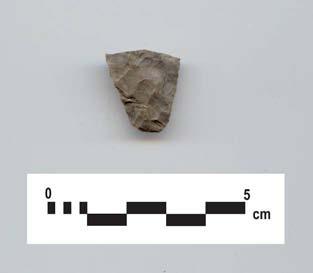 sloping ploughed surface. The find consists of one projectile point fragment manufactured from Kettle Point chert (Table 137, Plate 35).