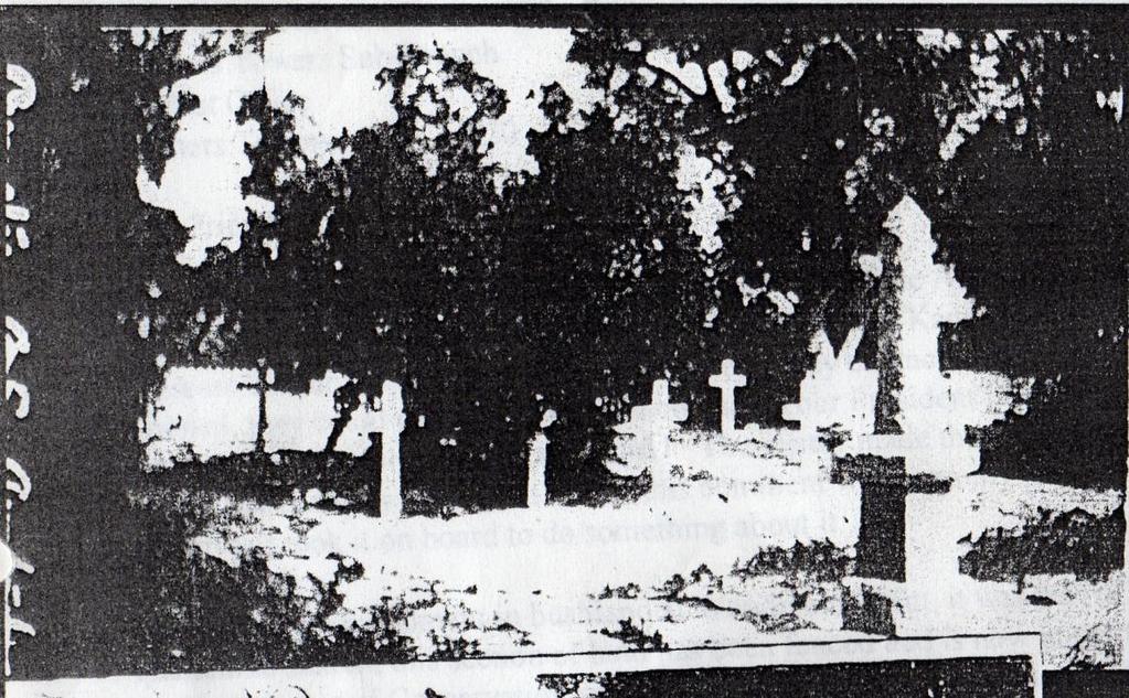 (slide 26) showing the area of Nurse Williams grave. Retaking this historic photograph was harder as there is now the trunk of a Rottnest pine tree right where the photographer was standing.