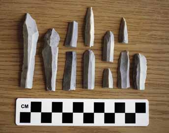 548 ana tavares et al. Fig. 17. A sample blade and blade fragments from feature [34,465]. Photograph by Alexandra Witsell. The only identified fish bone was an opercular from the catfish, Claris sp.