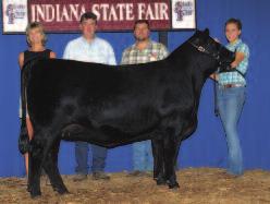 A daughter of Lot 15, Craft Merle of 26-M293-R08, exhibited by Catherine Knebel, Winamac, Ind.