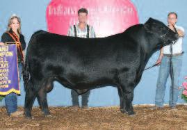 Also Reserve Junior Champion Division 2 Heifer at the 2006 National Junior Angus Show, Reserve Grand Champion Angus Heifer at the 2006